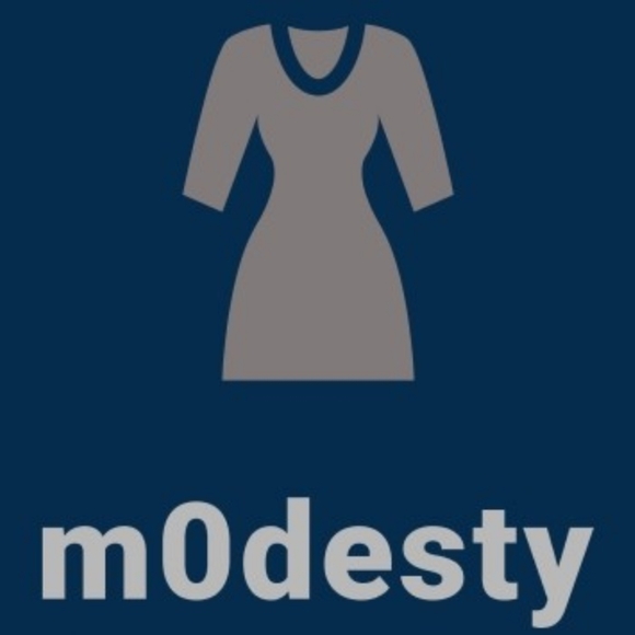 Modesty closet - Picture 1 of 1